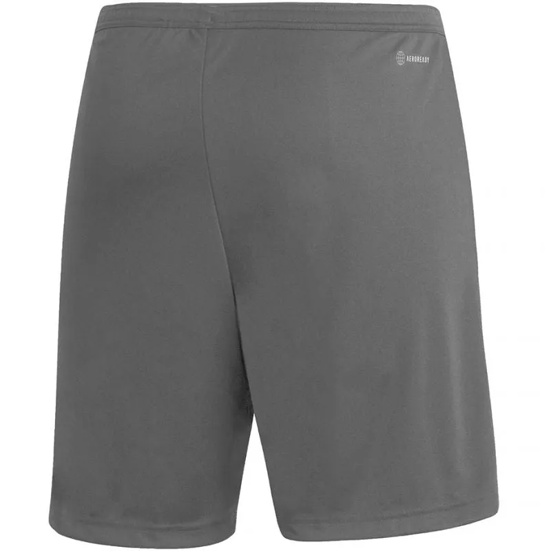 Adidas Mens Entrada 22 Shorts - Gray