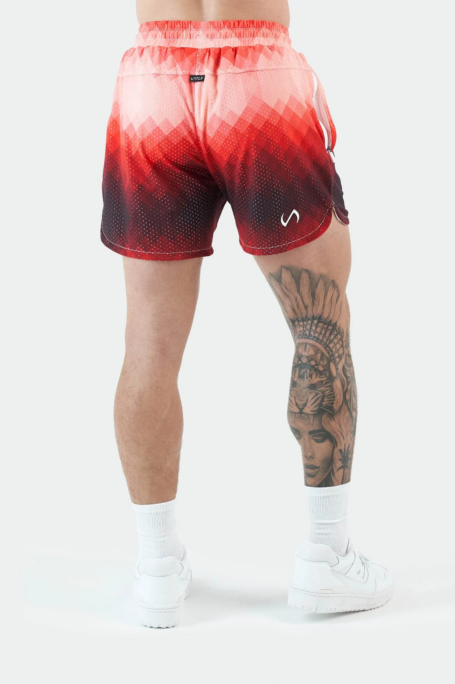 GTS Ombre Mesh 5 Inch Shorts