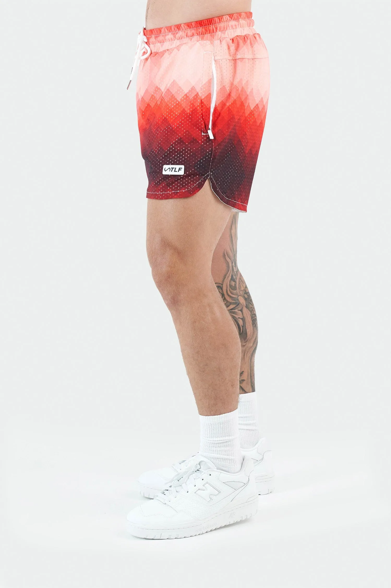 GTS Ombre Mesh 5 Inch Shorts